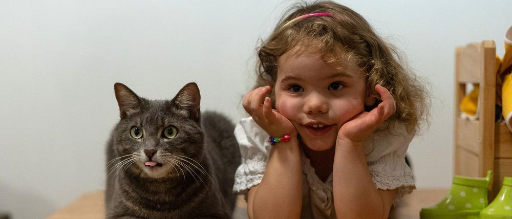 Zusammen ist man weniger allein: Therapiekater Fuchur bei der Arbeit.