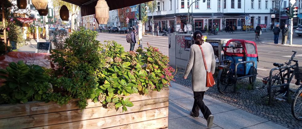 Hochbeet in Prenzlauer Berg