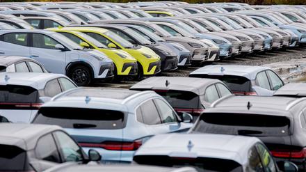 Elektroautos von BYD: Das Unternehmen stand in den ersten drei Quartalen für fast ein Viertel der chinesischen Produktion. (Archivbild)