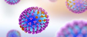 Darstellung von Influenza-Viren