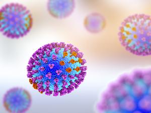 Darstellung von Influenza-Viren