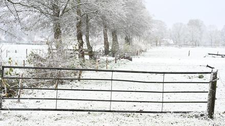 Weiteren Schnee sagt der Deutsche Wetterdienst frühestens am Sonntag vorher.