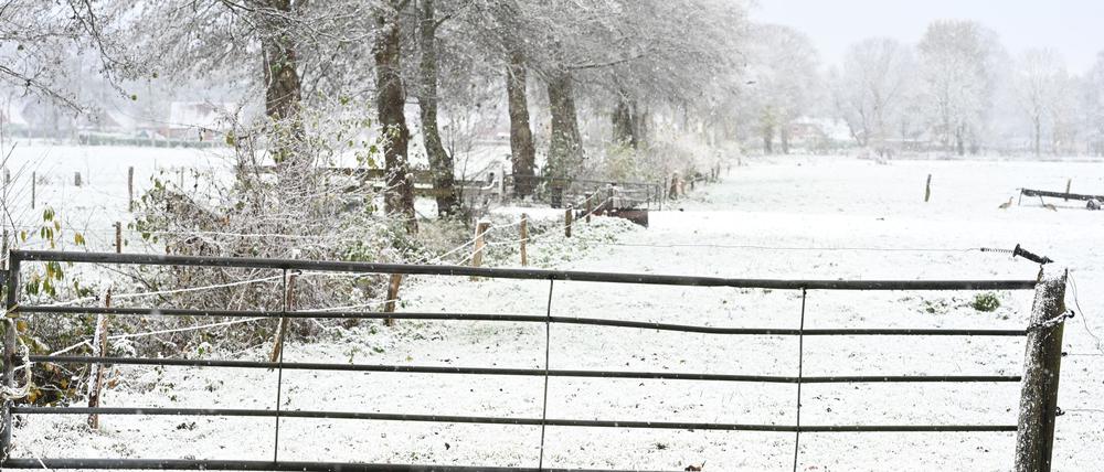 Weiteren Schnee sagt der Deutsche Wetterdienst frühestens am Sonntag vorher.