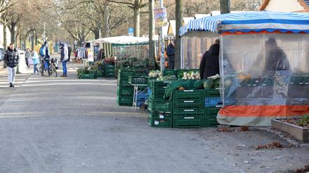 Weihnachtsmarkt in Potsdam. Erste Bilanz mit den verdrängten Wochenmarkt-Händlern