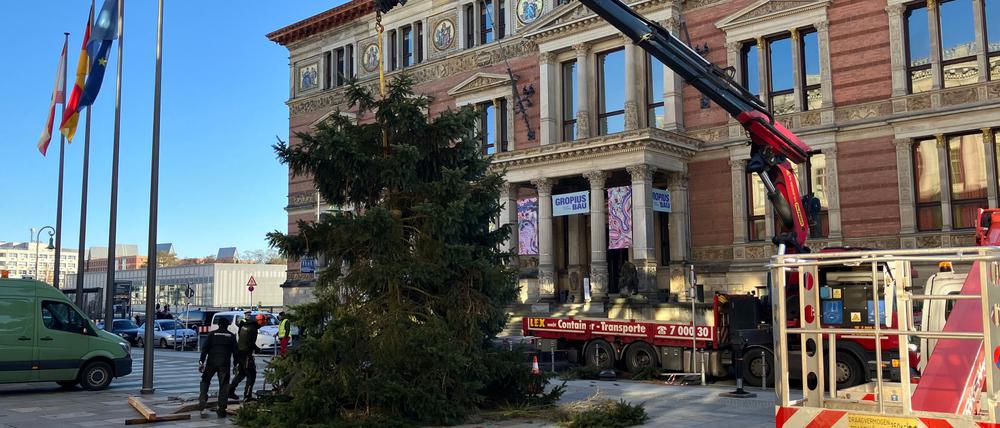Pannen mit Weihnachtsbäumen sind in Berlin keine Seltenheit. 