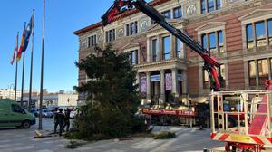 Pannen mit Weihnachtsbäumen sind in Berlin keine Seltenheit. 