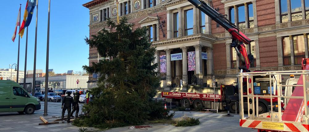 Pannen mit Weihnachtsbäumen sind in Berlin keine Seltenheit.