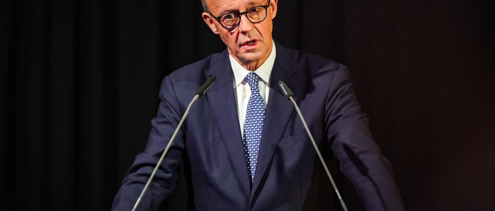 Friedrich Merz will Europas Abhängigkeiten reduzieren.