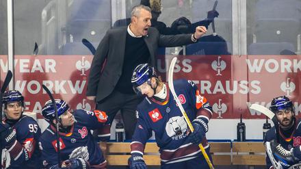 Trainer Serge Aubin von den Eisbären Berlin fordert von seinem Team höheren Einsatz beim Tabellenführer Straubing. 