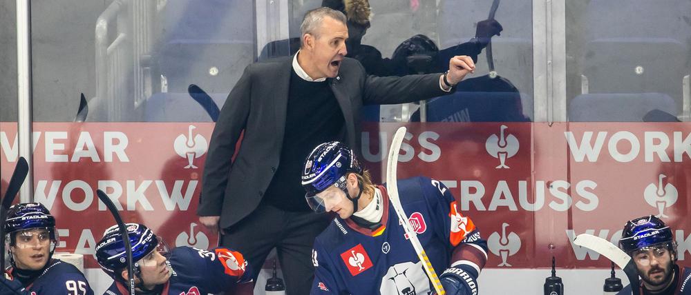 Trainer Serge Aubin von den Eisbären Berlin fordert von seinem Team höheren Einsatz beim Tabellenführer Straubing.