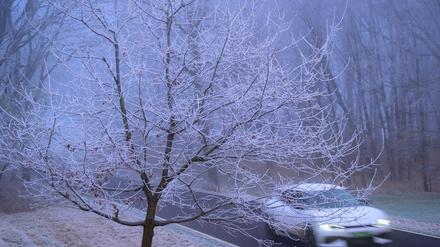 In kalten Nächten ist die Landschaft mit Raureif überzogen.