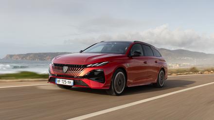 Der glänzt auch ohne Chrom. Peugeot hat völlig auf Chrom-Verzierungen an der Karosserie verzichtet.