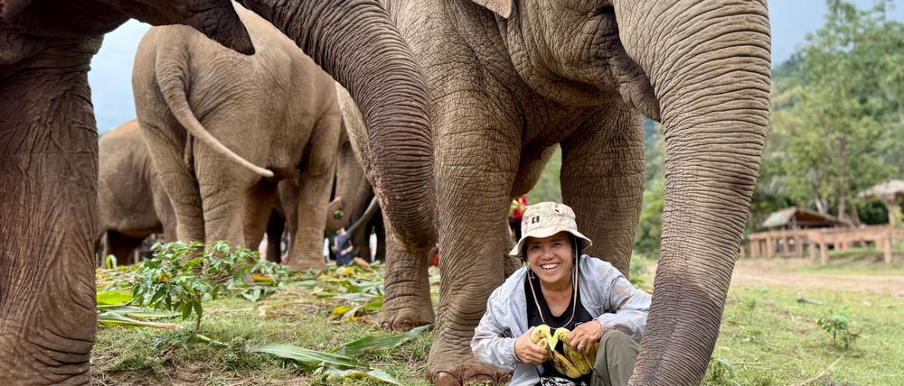 Saengduean „Lek“ Chailert verbringt täglich viel Zeit mit ihren Elefanten. 