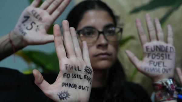 Demonstration von Aktivisten beim UN-Klimagipfels COP30 in Brasilien. 