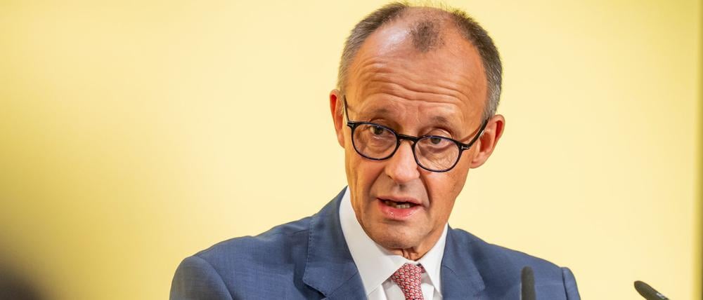 Friedrich Merz’ Äußerungen erfüllen nicht den Anfangsverdacht der Volksverhetzung.