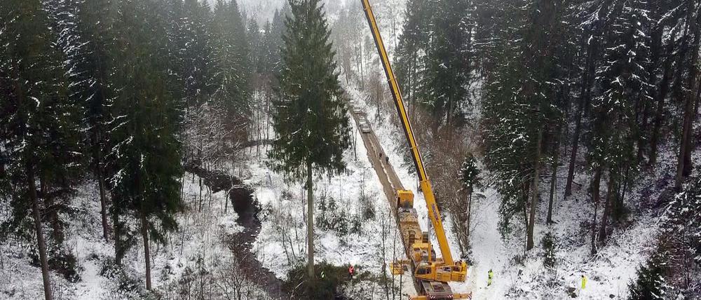 Mit einem Autokran wurde der Baum auf einen Tieflader gehoben.