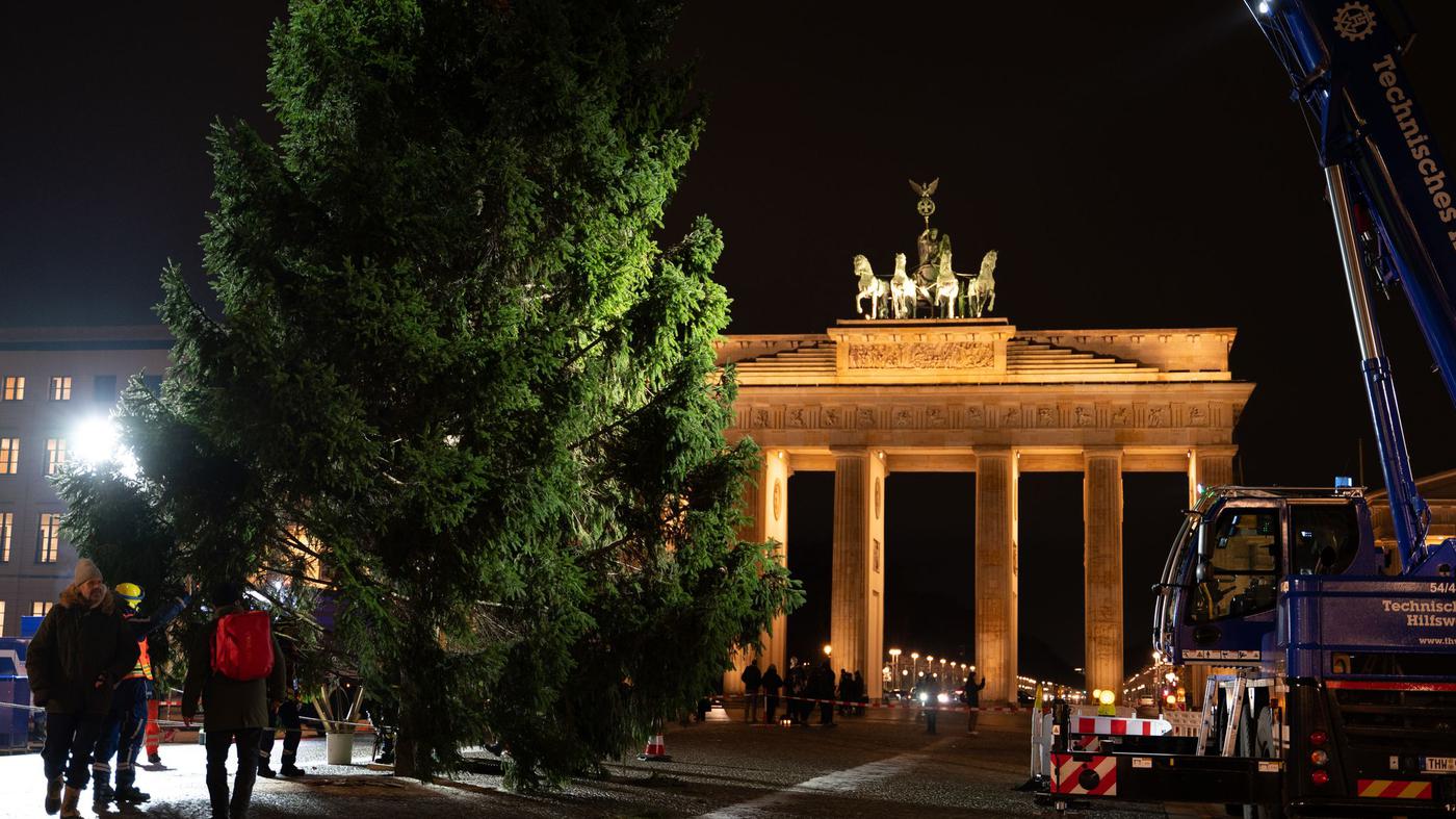 Mit-Lieferschwierigkeiten-Weihnachtsbaum-am-Brandenburger-Tor-aufgestellt