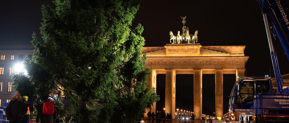 „Dieses Mal ist es ein sehr voller Baum. Wir hatten schon welche, die waren deutlicher kahler“, ist sich THW-Einsatzleiter Julius Kerkhoff sicher.