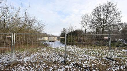 Um Sportplätze auf der Brache an der Erich-Weinert-Sraße in der Potsdamer Waldstadt gibt es weiter Streit.