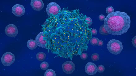 HIV-Partikel entstehen an der Oberfläche einer infizierten Zelle. 