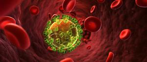 Computersimulation eines HI-Virus