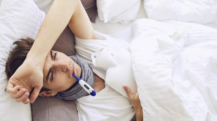 Soziale Isolation nach einer Immunherausforderung ist der Studie zufolge selbst auferlegt und wird aktiv im Gehirn gesteuert – sie ist keine bloße Folge von Krankheitssymptomen wie Lethargie.