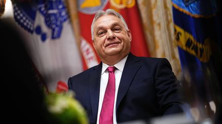Mit US-Präsident Donald Trump auf einer Linie, mit der Europäischen Union weniger: Ungarns Premierminister Viktor Orbán am 7. November im Weißen Haus.