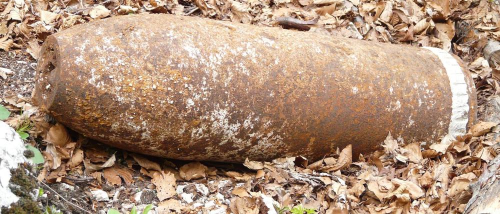 Im Potsdamer Forst wird am Donnerstag eine Bombe gesprengt.