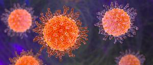 Illustration des Herpes simplex virus