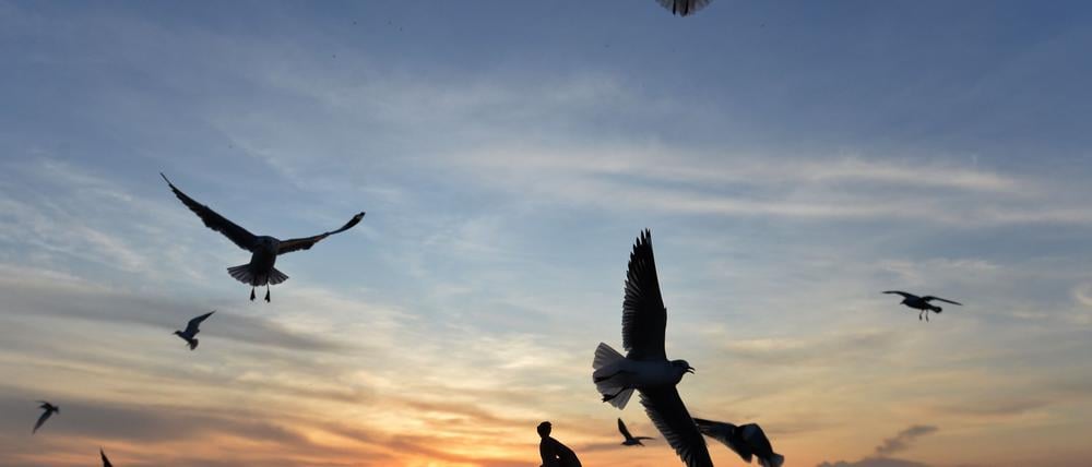 Sonnige Reiseziele sind laut Dertour besonders gefragt. (Archivbild)