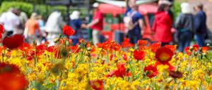 2022 lockte Beelitz um die 560.000 Besucher zur Landesgartenschau. (Archivbild)