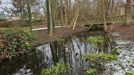 Das Rudower Fließ ist eine kleine Oase. 