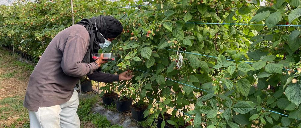 Die befreiten Migranten wurden laut Polizei oft geschlagen. 