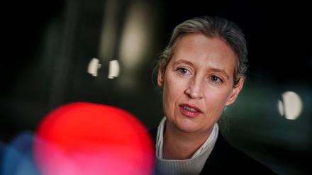 AfD-Chefin Alice Weidel äußert sich bei einem Interview.