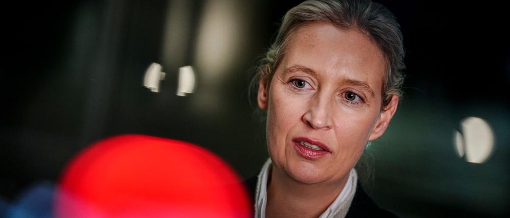 AfD-Chefin Alice Weidel äußert sich bei einem Interview.