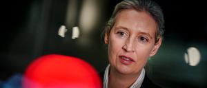 AfD-Chefin Alice Weidel äußert sich bei einem Interview.