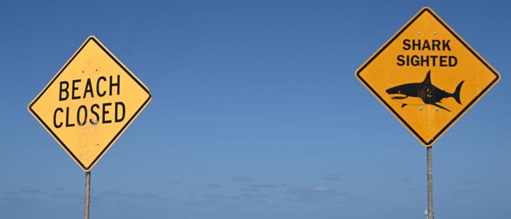 Warntafel an einem Strand in Sydney. Drei Menschen verloren in den ersten sechs Monaten 2025 ihr Leben bei Haiangriffen in Australien.