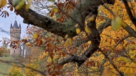 Der Flatowturm im Park Babelsberg bei herbstlichem Wetter und bunten Blättern.