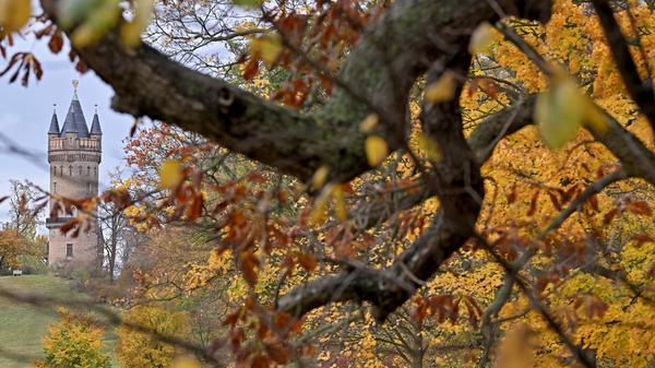 Der Flatowturm im Park Babelsberg bei herbstlichem Wetter und bunten Blättern.