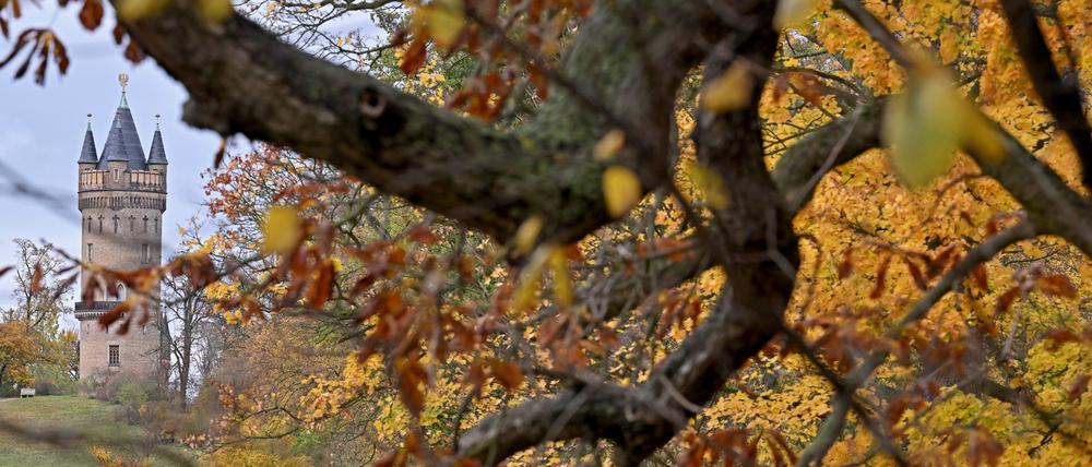 Der Flatowturm im Park Babelsberg bei herbstlichem Wetter und bunten Blättern.