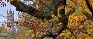 Der Flatowturm im Park Babelsberg bei herbstlichem Wetter und bunten Blättern.