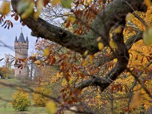 Der Flatowturm im Park Babelsberg bei herbstlichem Wetter und bunten Blättern.