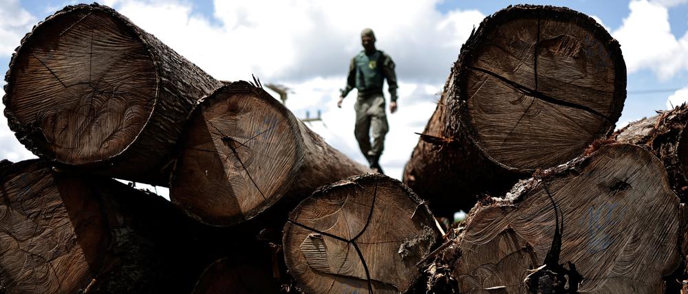 Bei Einsätzen im Amazonas trifft die Polizei auf die brasilianische Drogenmafia.