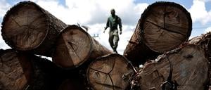 Bei Einsätzen im Amazonas trifft die Polizei auf die brasilianische Drogenmafia.