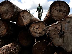 Bei Einsätzen im Amazonas trifft die Polizei auf die brasilianische Drogenmafia.