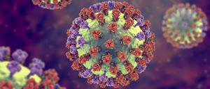 Neuer Grippestamm mit sieben Mutationen: Schützen die Impfstoffe trotz Abweichungen noch?