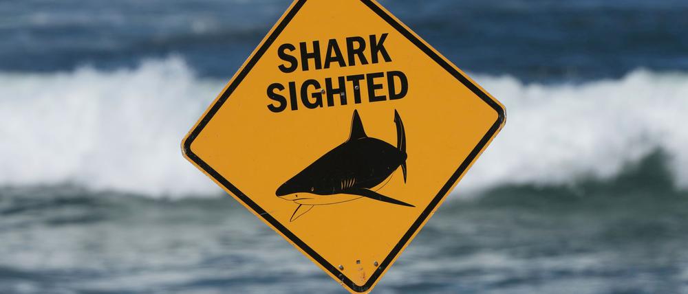 Die Strände in der Region um Crowdy Bay bleiben nach dem tödlichen Angriff auf eine Schweizerin zunächst weiter gesperrt. (Archivbild)