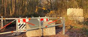 Die Arbeiten im Wald.