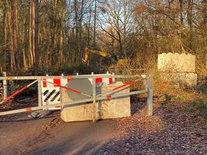 Die Arbeiten im Wald.