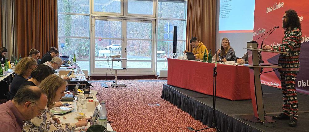 Parteitag der Brandenburger Linken in Potsdam 